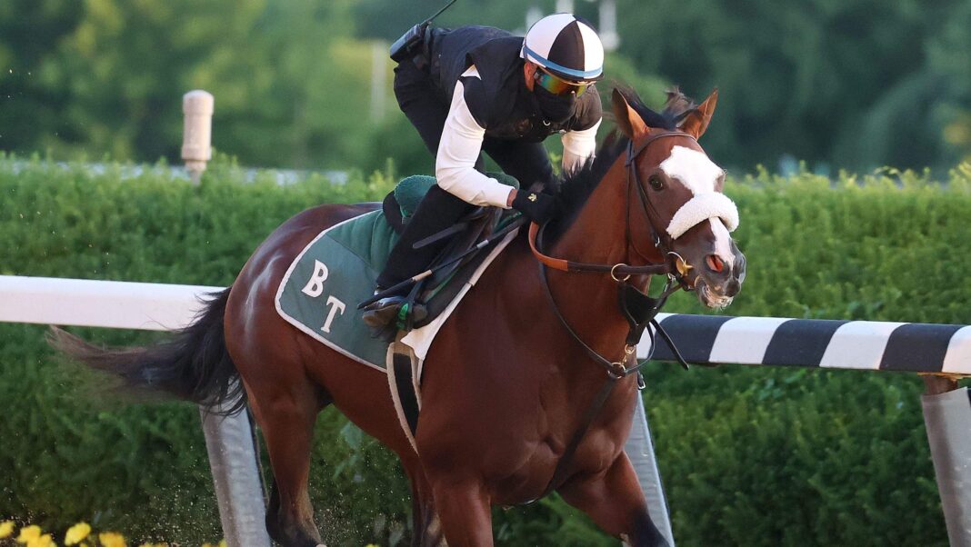 Tiz-the-Law-belmont-stakes-winner-2020