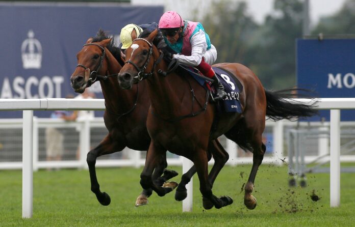 Enable_King_George_VI_and_Queen_Elizabeth_Qipco_Stakes