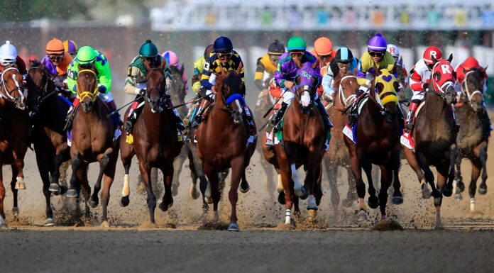 road_to_kentucky_derby