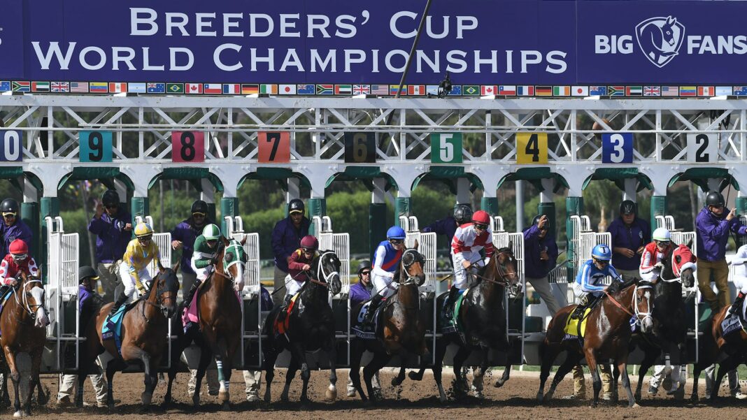 breeders-cup-2020