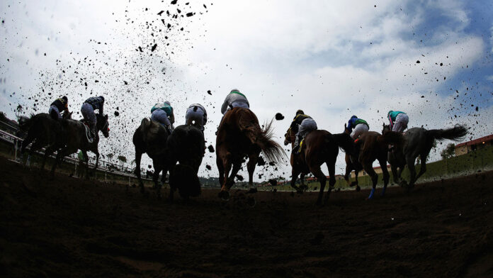 horse-racing-preakness-special