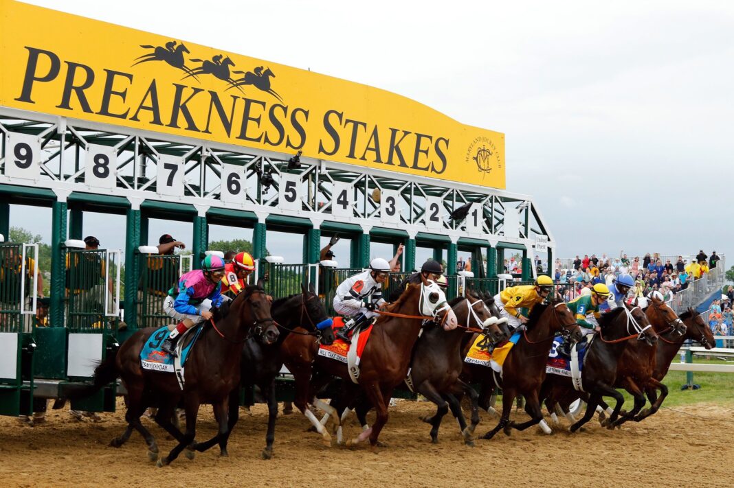 preakness-stakes-2020-betting-odds