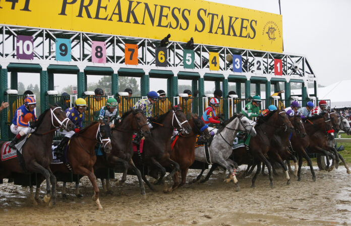 preakness-stakes-betting