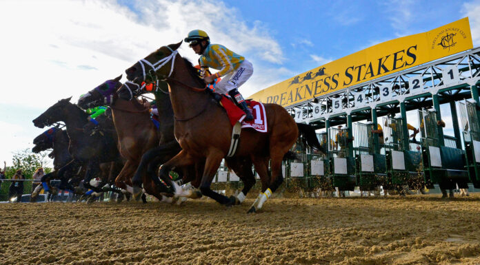 preakness-stakes-oct-2020