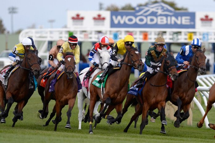 woodbine