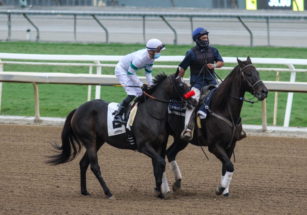 Biddy-Duke-Senator-Ken-Maddy-Santa-Anita-Park