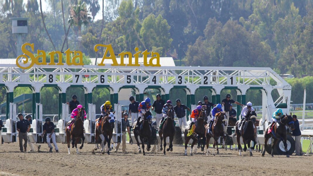 SantaAnitaPark