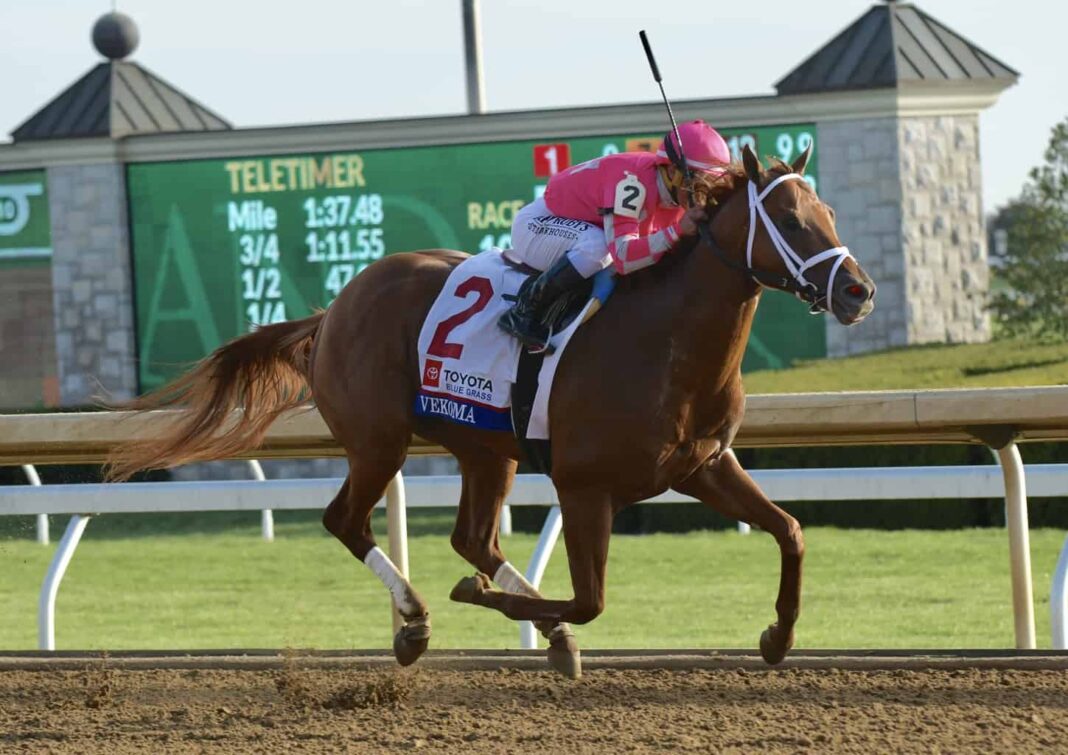 vekoma-breeders-cup-2020