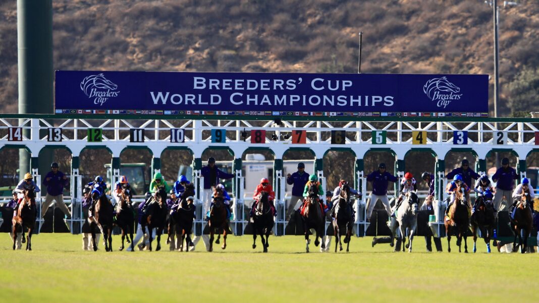 breeders-cup-preview