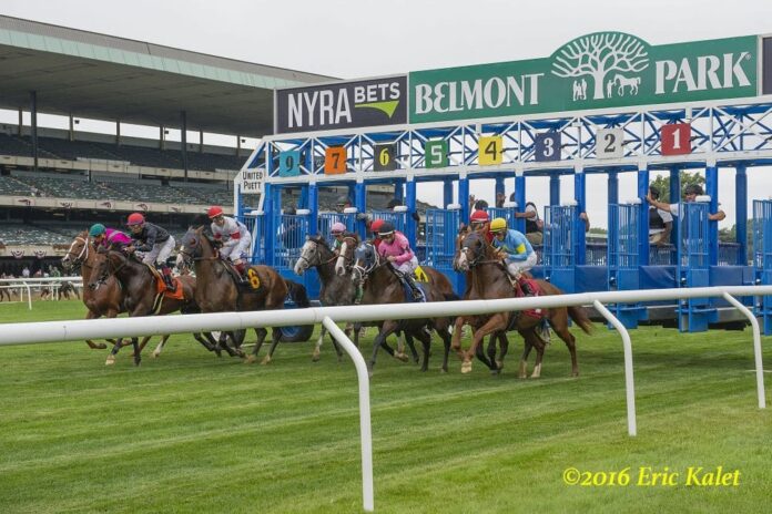 BELMONT PARK GRANDSTAND