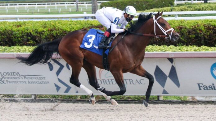 Prime Factor at Gulfstream Park