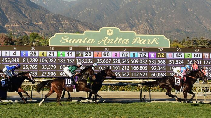 Horse Racing Cards Graded Stakes