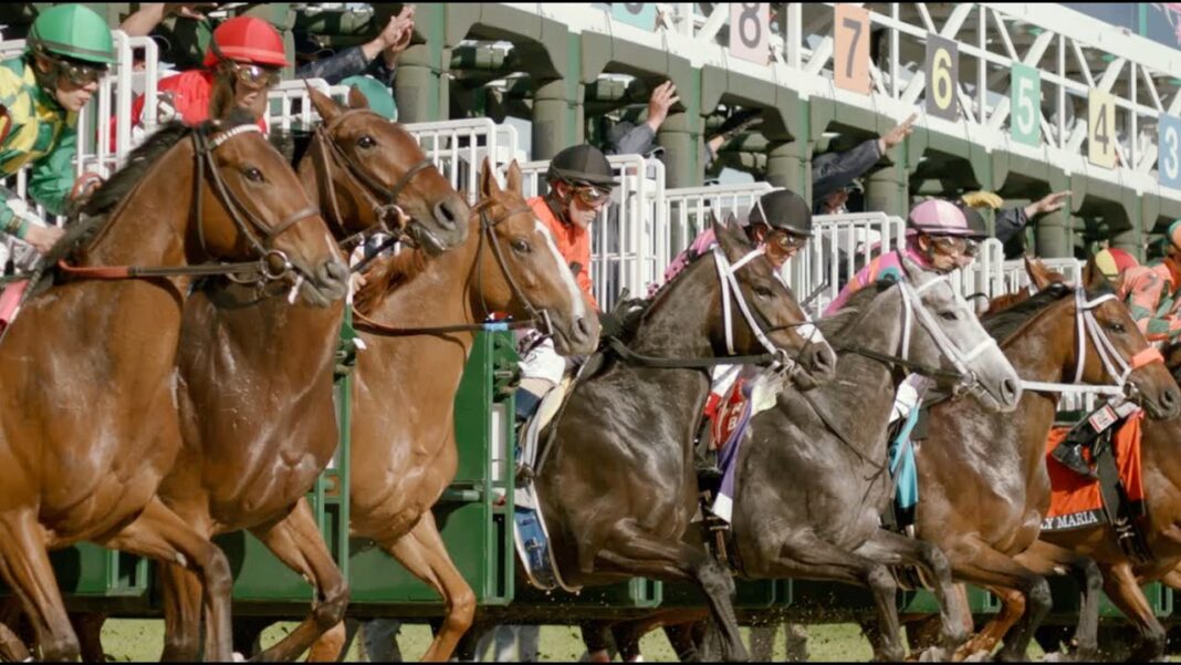 ROAD TO THE KENTUCKY DERBY