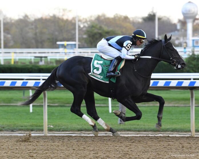 ROAD TO THE KENTUCKY DERBY