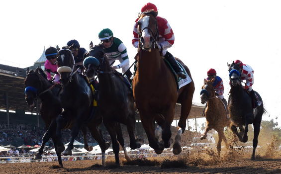 ODDS OF THE WEEKEND GRADED HORSE RACES