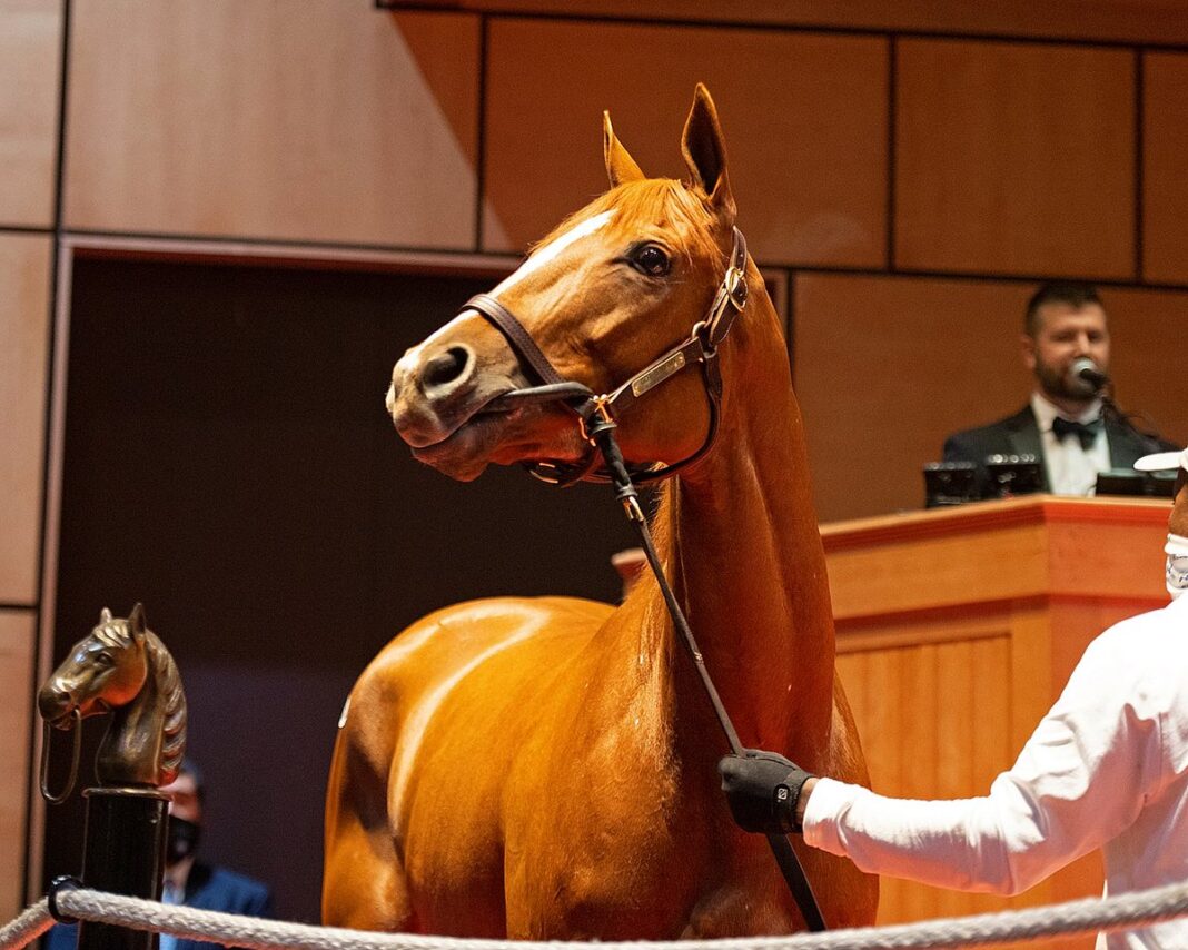 INVITATION LIST FOR THE PEGASUS WORLD CUP RELEASED