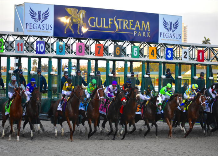 PEGASUS WORLD CUP SERIES WEEKEND PREVIEW