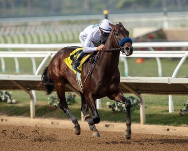 KENTUCKY DERBY FAVORITES EARLY LOOK